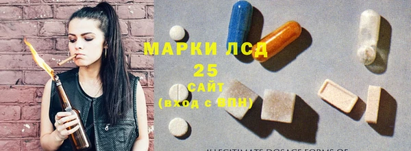 СК Аркадак